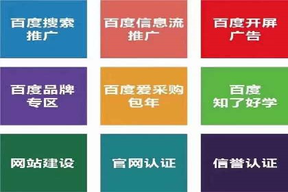 百度推广策略揭秘：某行业领头羊的成功经验